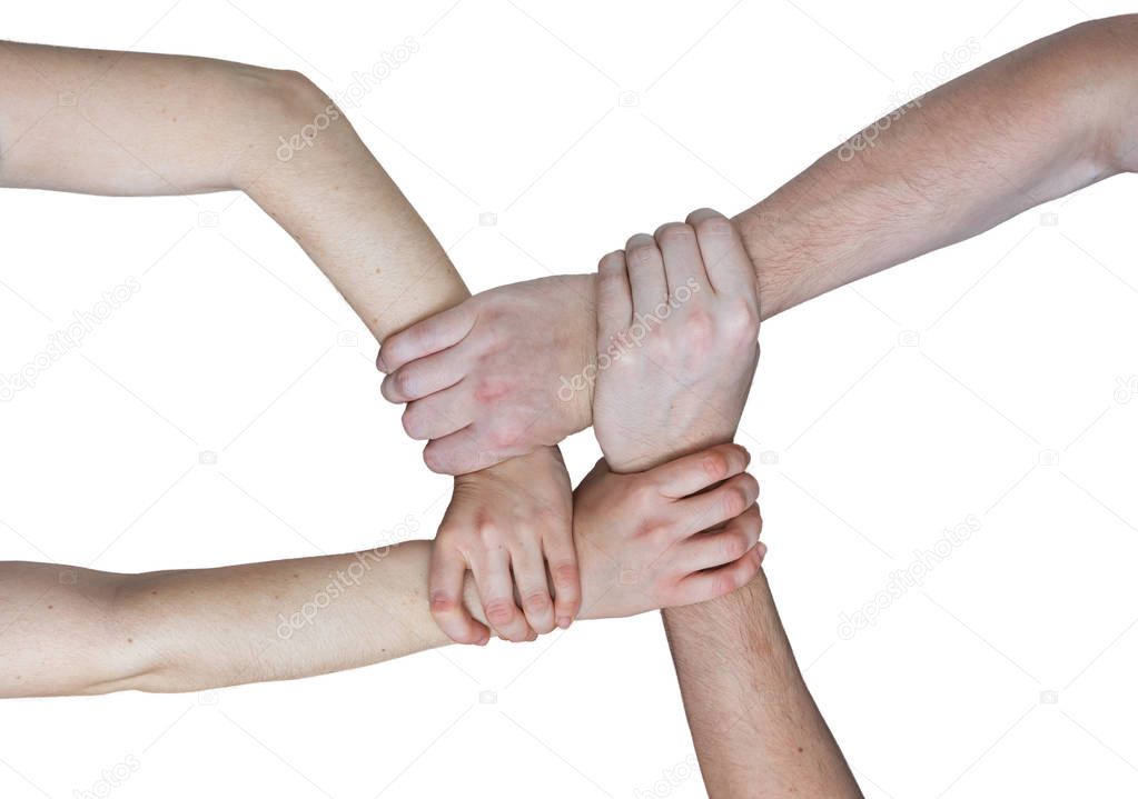 Community and teamwork concept. Hands holding together. Isolated on white background.
