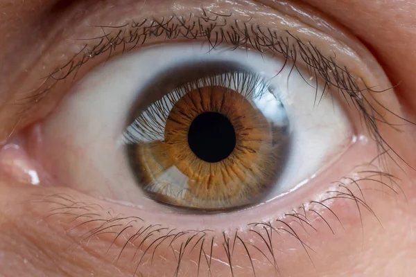 Close View Man Eye — Stock Photo, Image