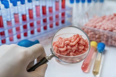 Bilim adamı mikroplar için et test ve inceleme. Gıda kalitesi