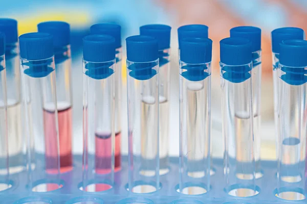 Test tubes in laboratory. Biotechnology, science and research co — Stock Photo, Image