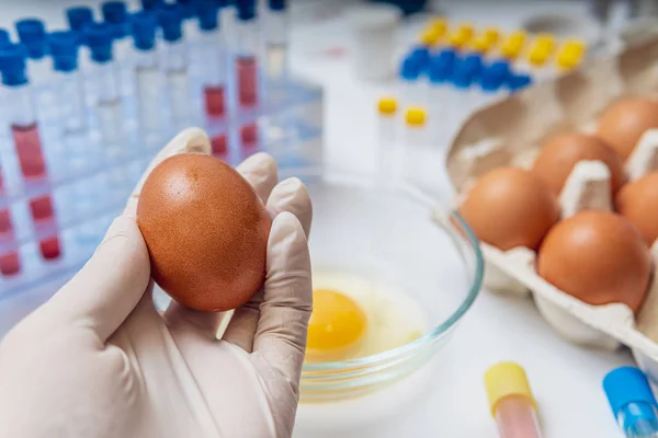 Scientist is holding egg in hand in laboratory. Food testing con — Stock Photo, Image