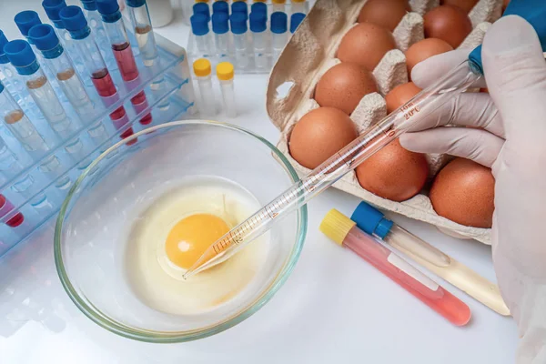 Los científicos están analizando los huevos en busca de gérmenes. Control de calidad alimentaria . — Foto de Stock