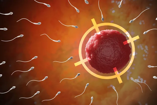 Many sperms are moving towards human egg. IVF concept. 3D render — Φωτογραφία Αρχείου
