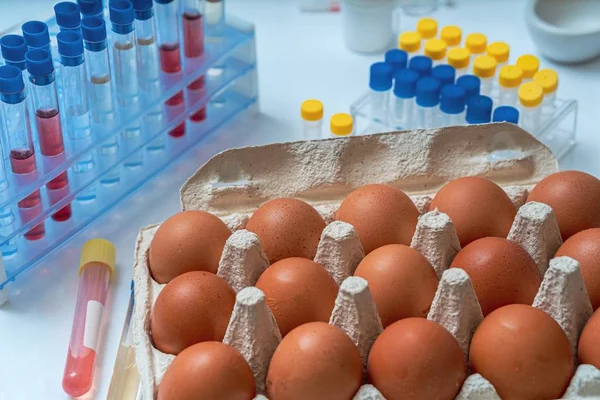 Los huevos se prueban en laboratorio en busca de gérmenes. Concepto de inspección . —  Fotos de Stock
