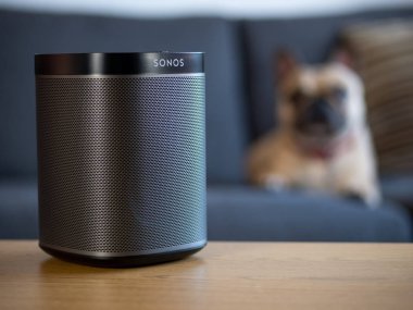 Uk, Ekim 2019: Sonolar lobide evcil köpekle siyah kablosuz hoparlör oynuyorlar