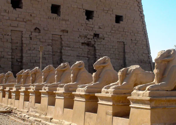 Estatuas egipcias — Foto de Stock