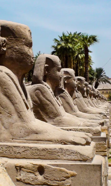 埃及雕像 — 图库照片