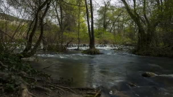 Fiume Scorre Attraverso Canale Della Foresta Rapido Movimento Del Fiume — Video Stock