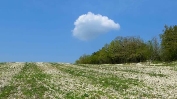 Een Wolk Blauwe Hemel Een Leeg Veld Oplopend Tot Horizon — Stockvideo