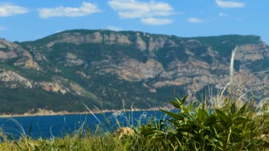 Yaz peyzaj çim ve çiçek, bulanık bir arka plan üzerinde unsurları ile. Yeşil otlar, deniz meltemi, bulutlar dağlar açık güneşli bir yere. Yeşil çim yakın çekim.