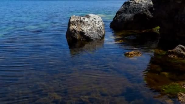 海洋表面和藻类的背景 宁静的海景 夏日晴朗的天气 沿海区 — 图库视频影像