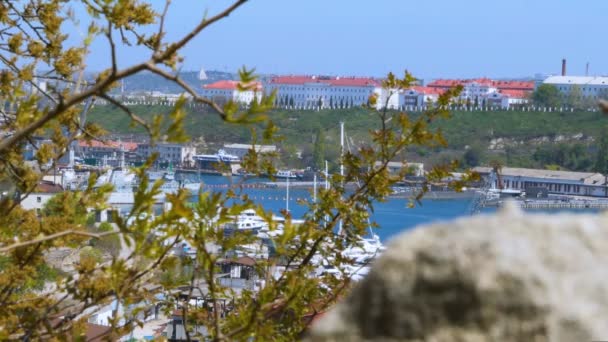 Baai Van Stad Met Militaire Burgerlijke Reparatie Schepen Reparatie Van — Stockvideo