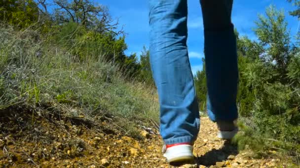 Kopce Stoupá Muž Batohu Který Kráčí Stezce Mladý Muž Teniskách — Stock video