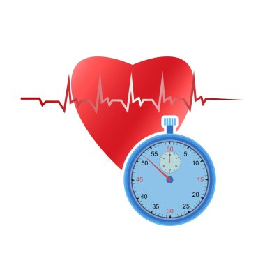 İnsan kalbi ve beyaz arka planda kronometre. Bir kronometre kullanarak kalp ritmi ölçmek.