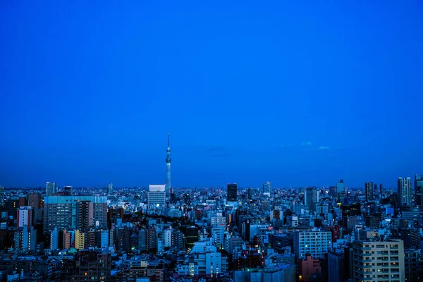 Pôr Sol Centro Cívico Bunkyo Direção Árvore Céu — Fotografia de Stock