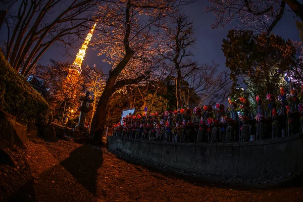 Tokió Torony Cseresznyevirág Jizo — Stock Fotó