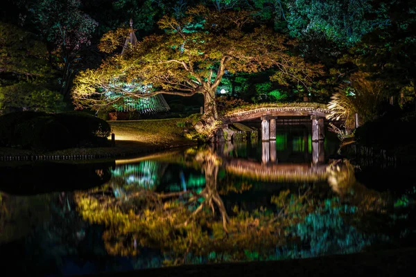 Jardim Daimyo Rikugien Cores Outono — Fotografia de Stock