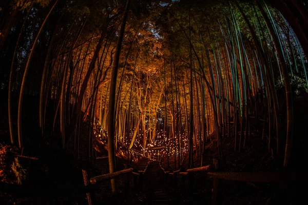 Iluminação Pequeno Diâmetro Bosque Bambu Pequena Escrivaninha Castelo Floresta Cidadão — Fotografia de Stock