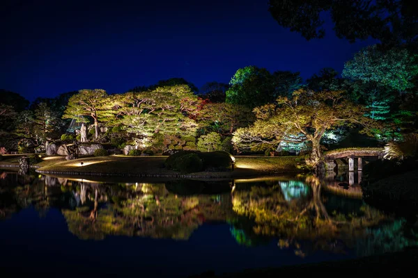 Rikugien Daimyo Bahçesi Sonbahar Renkleri — Stok fotoğraf