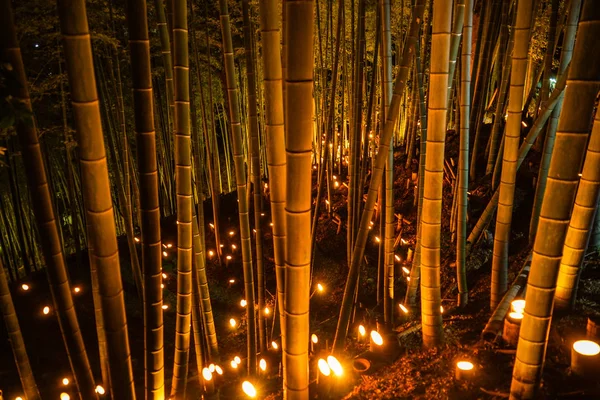 Iluminação Pequeno Diâmetro Bosque Bambu Pequena Escrivaninha Castelo Floresta Cidadão — Fotografia de Stock