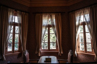 Batı tarzının resmi