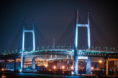 Yokohama Körfezi Köprüsü tepe parkından liman manzaralı.
