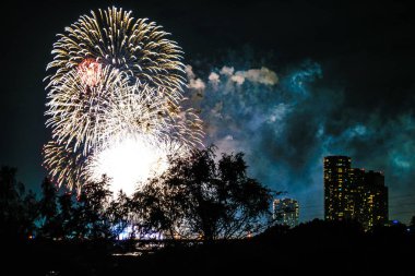 Setagaya-ku, Tama Nehri havai fişek gösterisi (2019)