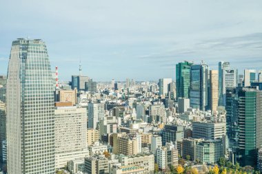 Tokyo Kulesi Gözlemevi 'nden Tokyo şehri manzarası