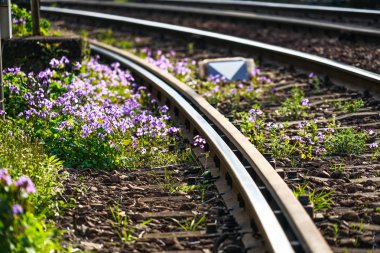 Toden Arakawa Hattı 1