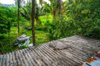 Görüntü: Sri Lanka çayırı