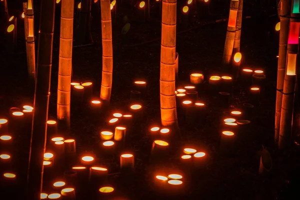 Small Diameter Light Bamboo Grove Small Desk Castle Forest Citizen — Stock Photo, Image