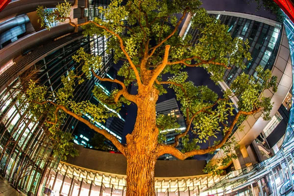 Stort Träd Reser Sig Hjärtat Affärsdistriktet — Stockfoto