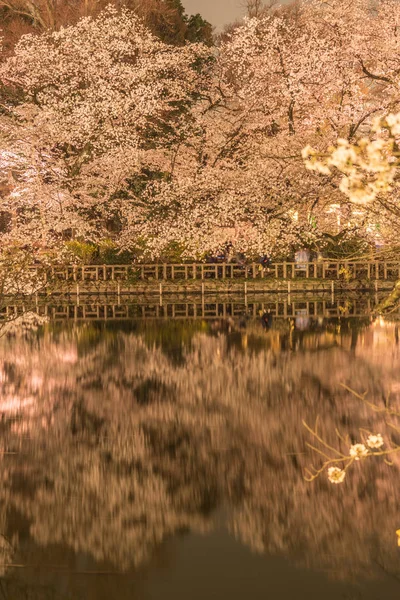 Inokashira公园 Inokashira公园 的樱花 — 图库照片