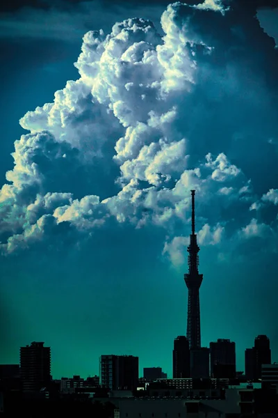 Sky Träd Och Cumulonimbus — Stockfoto