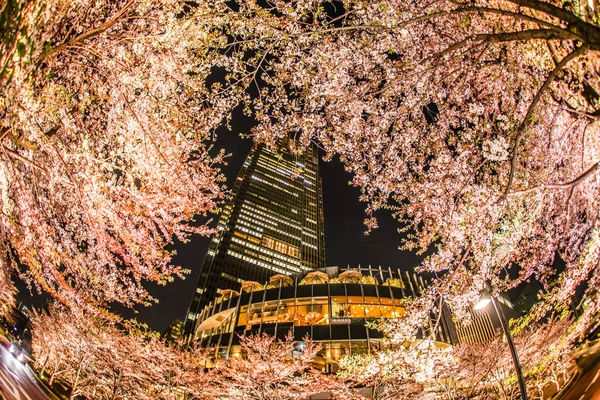 Sakura Tokyo Midtown — Photo