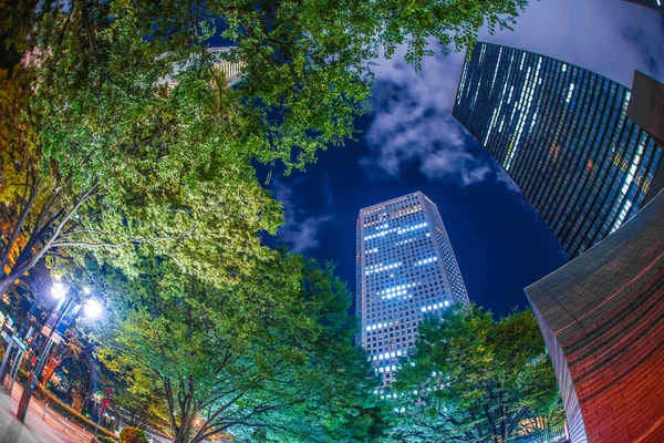 Tokyo Shinjuku Skyscrapers Night View — стокове фото