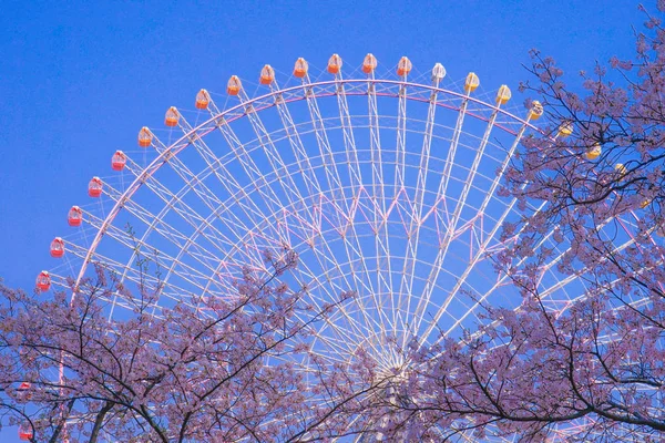 満開の桜と横浜のスカイライン — ストック写真