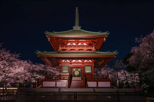 Tempel Gaan Kersenbloesems Zien Nachts — Stockfoto