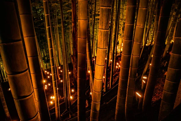 Iluminação Pequeno Diâmetro Bosque Bambu Pequena Escrivaninha Castelo Floresta Cidadão — Fotografia de Stock