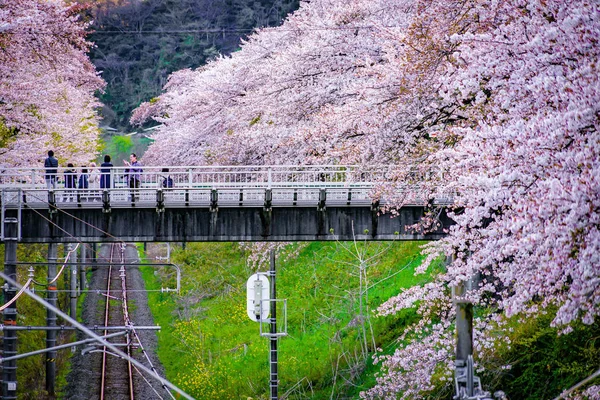 Spring Yamakita Station Kanagawa Ashigarakami District — Stock Photo, Image