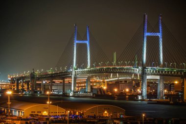 Yokohama Körfezi Köprüsü tepe parkından liman manzaralı.