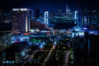 Tokyo 'nun Odaiba, Tokyo' dan gece görüşü