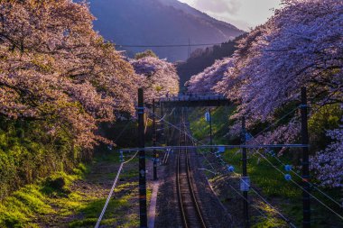 Spring Yamakita İstasyonu (Kanagawa ashigarakami bölgesi)