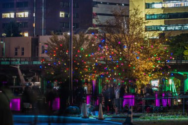 Görüntünün parlak ahşabı