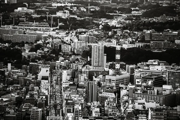 Fuji Der Silhouette Und Des Yokohama Stadtbildes — Stockfoto