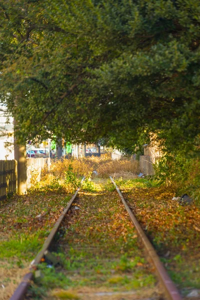 Zbytků Ray Image — Stock fotografie