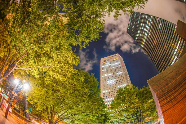 Tóquio Shinjuku Arranha Céus Visão Noturna — Fotografia de Stock