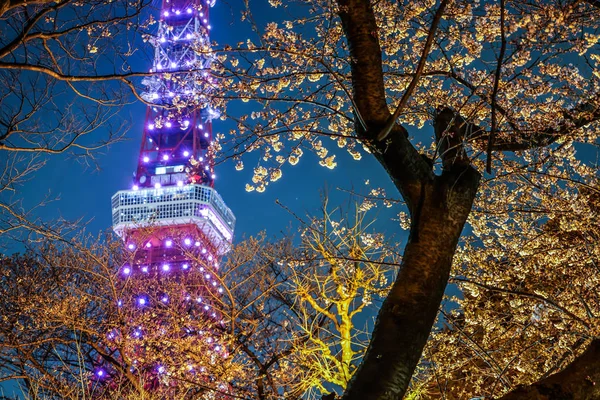 Torre Tóquio Visível Entre Cerejeira — Fotografia de Stock