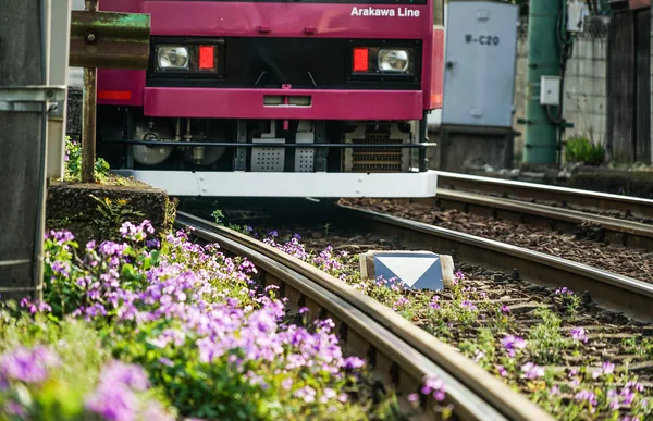 Immagine Della Linea Toden Arakawa — Foto Stock