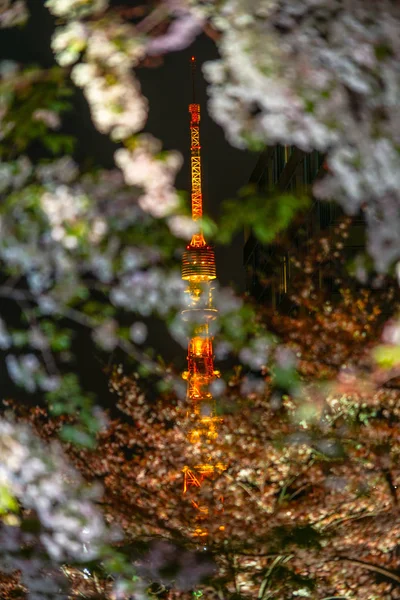 Токийская Башня Видна Между Вишневым Деревом — стоковое фото